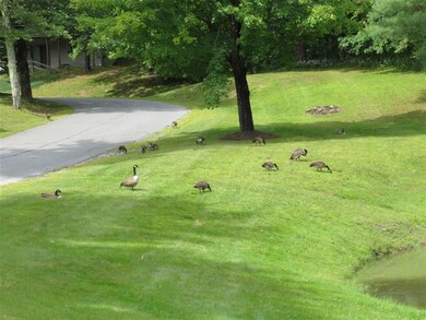 11 B Snowtree Birches Common unit 11 B, Dover, VT 05356 - photo 4