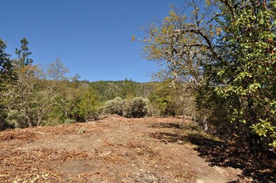 0 Pair-A-dice Ranch Rd unit 102988472, Jacksonville, OR 97530 - photo 5