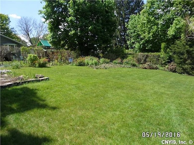 Backyard.