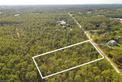 25531 Tropic Acres Dr, Bonita Springs, FL 34135 - photo 4