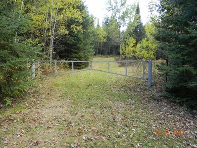 ON Tappa Rd, Deerbrook, WI 54424 - photo 5