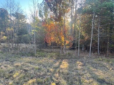 0 Robinson Springs Rd unit 4079514, Madison, MS 39110 - photo 7