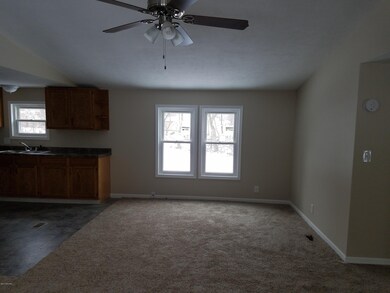 427 Hill St, Ionia, MI 48846 - photo 2