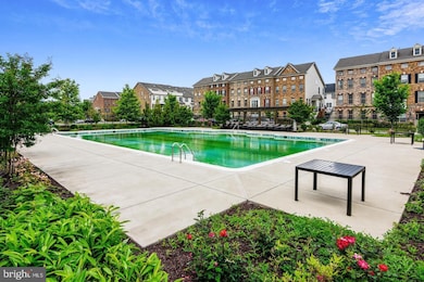 22579 Windsor Locks Square, Ashburn, VA 20148 - photo 7