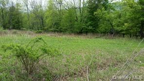 0 Hessinger and Lare Rd, Youngsville, NY 12791 - photo 4