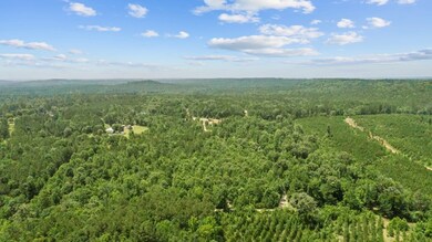 0 Cr 1101 unit 65882, Rusk, TX 75701 - photo 6