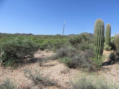 Lot 15 Saguaro Cliffs