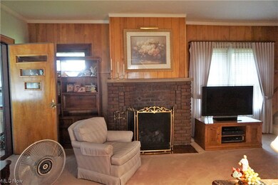 Living room featuring a fireplace, wooden walls, plenty of natural light, and carpet floors