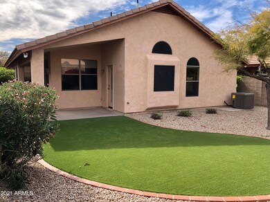 Back yard oasis