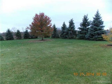 Backyard yard with pines and gardens