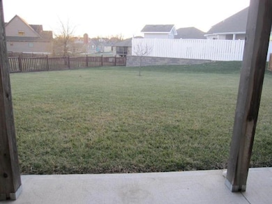 Level Back Yard