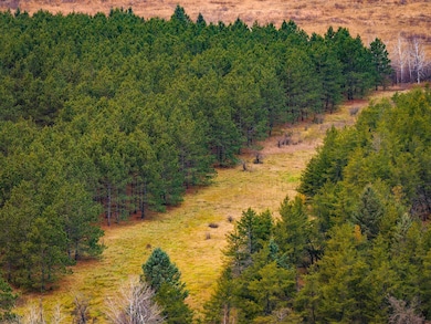 TBD 141st Ave, Bagley, MN 56621 - photo 6