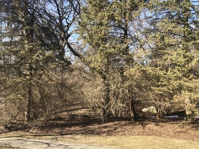 957 Watercress Dr, Naperville, IL 60540 - photo 6