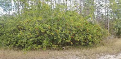 393 Walsh Cir, Other City - In the State of Florida, FL 33972 - photo 3