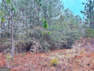 0 Jw Miller Rd unit 10655806, Reynolds, GA 31076 - photo 5