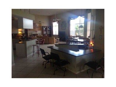 11033 SW 37th Manor, Davie, FL 33328 - photo 4