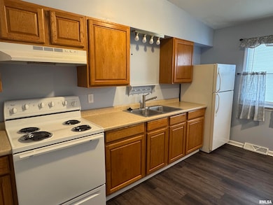 3812 Mississippi Ave, Davenport, IA 52807 - photo 5