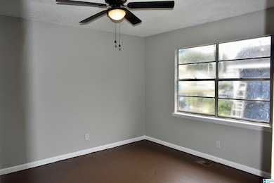 3720 Howard Ave SW, Birmingham, AL 35221 - photo 7