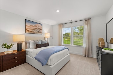 4 Unicoi Trail, Sharpsburg, GA 30277 - photo 6