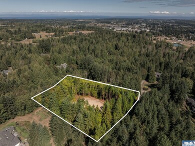 Lot 1 Sunny Dell Ln, Sequim, WA 98382 - photo 5