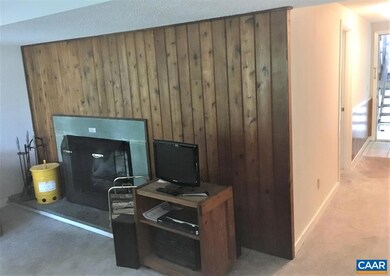 450 Three Ridges, Wintergreen Resort, VA 22967 - photo 2