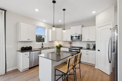 6560 Wolfberry Curve, Excelsior, MN 55331 - photo 3