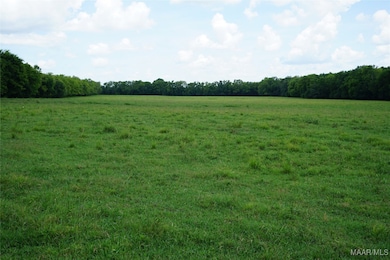 1105 Rittenour Rd, Grady, AL 36064 - photo 2