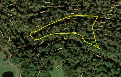 Lot 12 Whitewater Preserve, Bruceton Mills, WV 26525 - photo 5