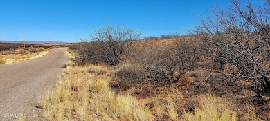 TBD 40 AC Ronald Reagan Pkwy, Whetstone, AZ 85616 - photo 7