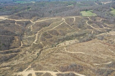 DJI_0010