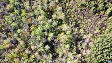 0 Owens Creek Rd unit 663057, Mineral, VA 23117 - photo 6