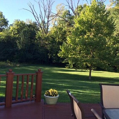 View out back
