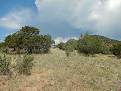 222 La Lomita Cir, South Fork, CO 81154 - photo 3