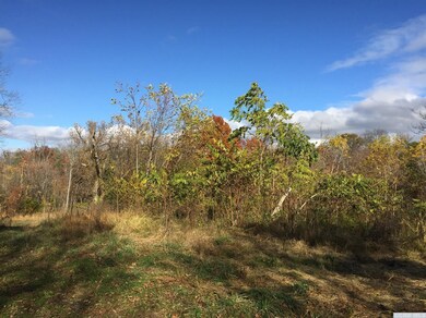 358 Flats Rd, Athens, NY 12015 - photo 6