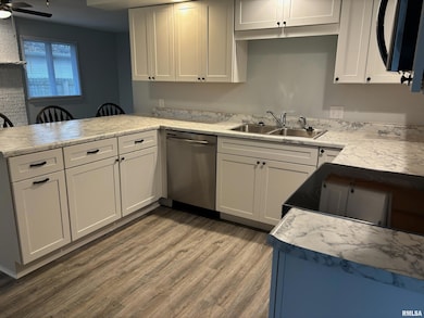 1208 5th St unit 1, Pawnee, IL 62558 - photo 6