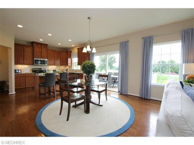 876 Hilliary Ln, Aurora, OH 44202 - photo 6