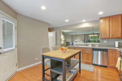 1075 Crane Point, Elgin, IL 60124 - photo 7