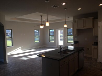 Kitchen/Family Room