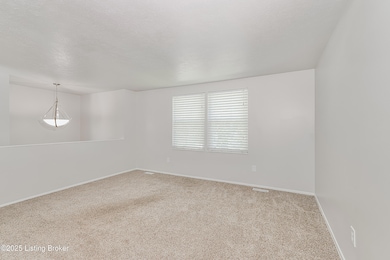 4401 Culpepper Cir, Louisville, KY 40241 - photo 4