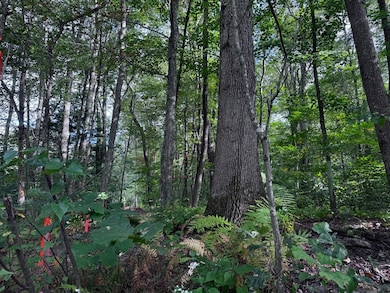 16 Rice Corner Rd, Brookfield, MA 01506 - photo 4