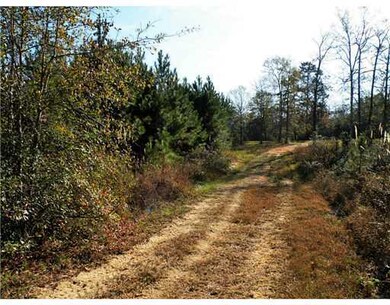 5.5 AC 5 Ac Highway 26 Hwy, Lucedale, MS 39452 - photo 3