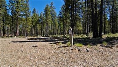 229 Trailmere Cir, Bend, OR 97707 - photo 2