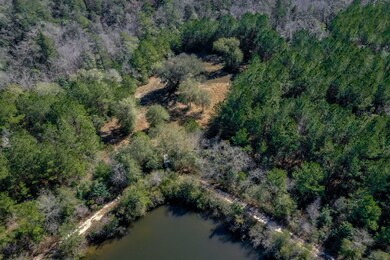 6101 Lake Ella Road Drone 07