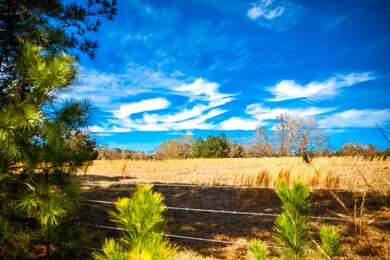 LOT 9 Mistletoe Rd, Appling, GA 30802 - photo 5