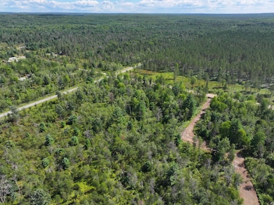 V L 10a 72nd St, Idlewild, MI 49642 - photo 5