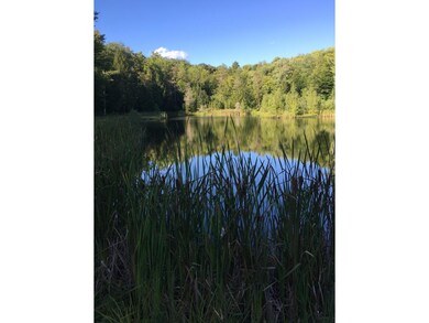 19 S Hollow Rd, Stowe, VT 05672 - photo 4