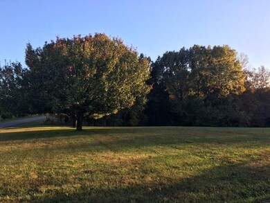 1101 Horseshoe Bend Rd, Scottsville, KY 42164 - photo 5