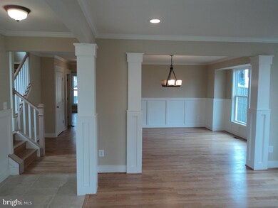 311 Walnut St, Falls Church, VA 22046 - photo 5