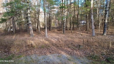 6058 Loch Loosa Dr, Crossville, TN 38572 - photo 2