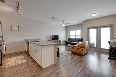 D85_3855